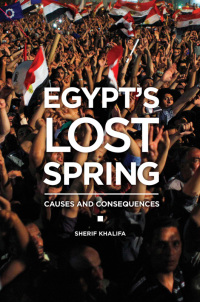 Cover image: Egypt's Lost Spring 1st edition 9781440834080