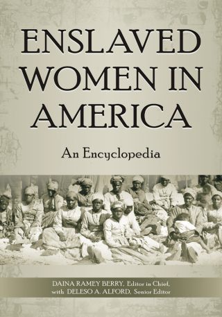 Cover image: Enslaved Women in America 1st edition 9780313349089