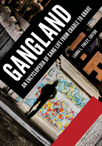 Imagen de portada: Gangland [2 volumes] 1st edition 9781440844737