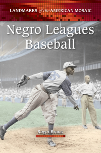 صورة الغلاف: Negro Leagues Baseball 1st edition 9780313386480