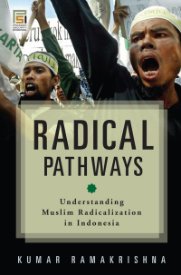 Cover image: Radical Pathways 1st edition