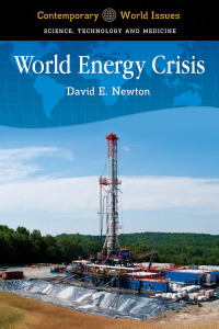 Cover image: World Energy Crisis 1st edition 9781610691475