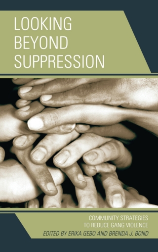Imagen de portada: Looking Beyond Suppression 1st edition 9780739190616
