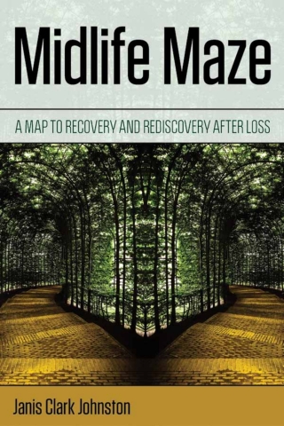 Cover image: Midlife Maze 1st edition 9781538126059