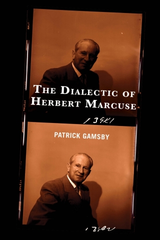 Cover image: The Dialectic of Herbert Marcuse 1st edition 9781666936384