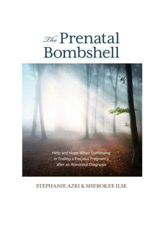 Immagine di copertina: The Prenatal Bombshell 1st edition 9781538123393