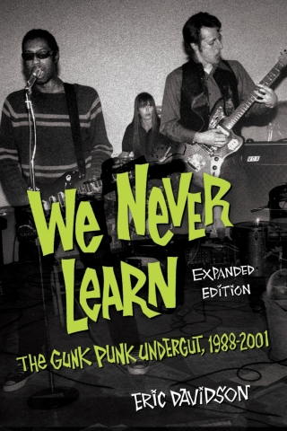 Cover image: We Never Learn 1st edition 9781493059850