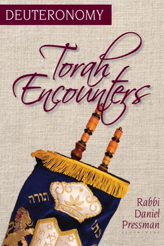 Cover image: Torah Encounters 1st edition 9798216278764