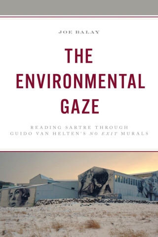 Titelbild: The Environmental Gaze 1st edition 9781666939804