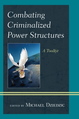 Immagine di copertina: Combating Criminalized Power Structures 1st edition 9781442266339