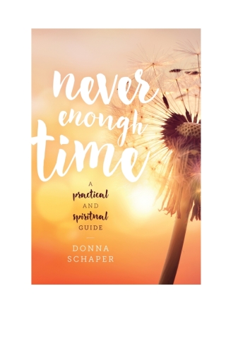Titelbild: Never Enough Time 1st edition 9781442266384