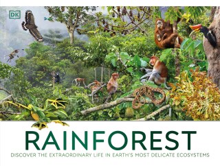 Cover image: Rainforest 9780593964552