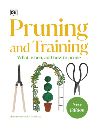 Cover image: Pruning and Training 9780593964231