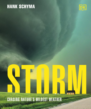 Cover image: Storm 9780241771570