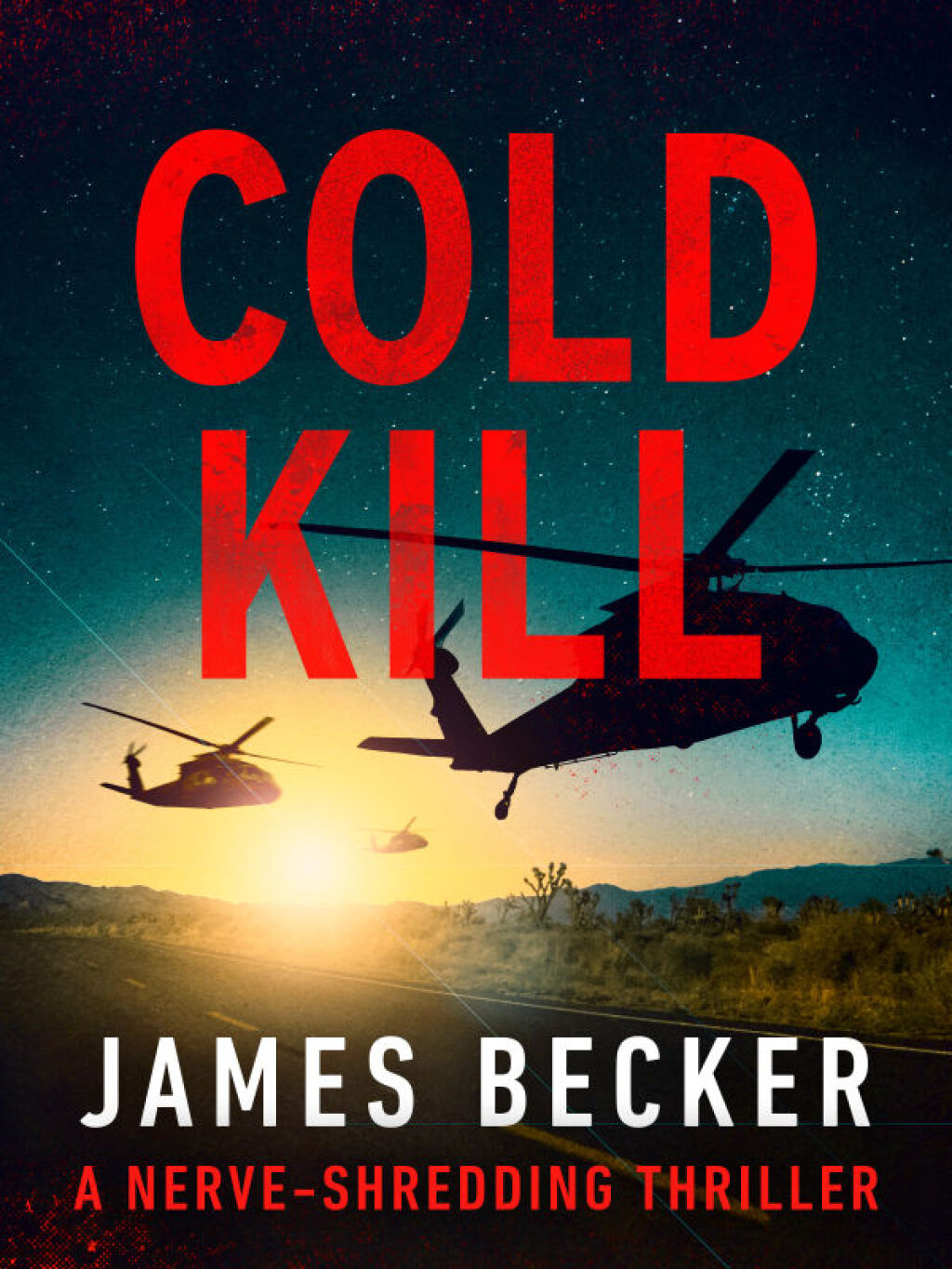 Cold Kill (eBook)