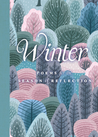 Imagen de portada: Winter 9798317900700