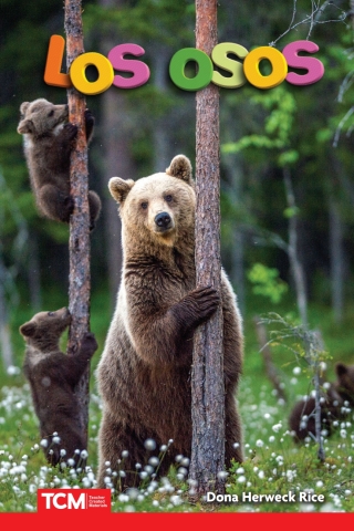 Imagen de portada: Los osos 1st edition 9798330903474