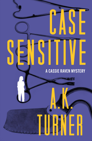 Cover image: Case Sensitive 9798337201580