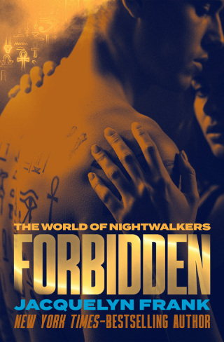 Imagen de portada: Forbidden 9798337204246