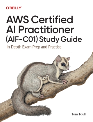 Cover image: AWS Certified AI Practitioner (AIF-C01) Study Guide 1st edition 9798341622333