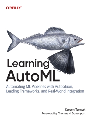 Imagen de portada: Learning AutoML 1st edition 9798341643185