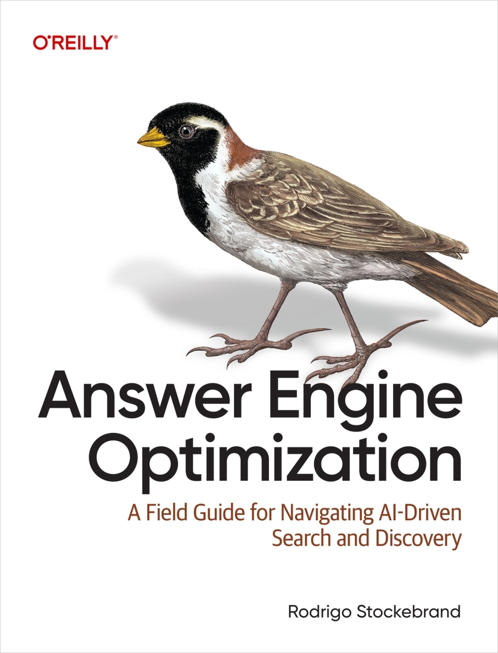 Answer Engine Optimization - 1st Edition (eBook)