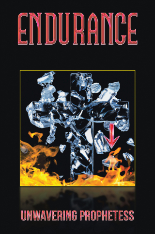 Cover image: Endurance 9798369411360