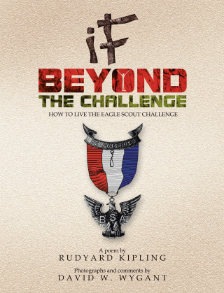 Cover image: IF - Beyond the Challenge 9781436325561