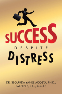 表紙画像: Success Despite Distress 9798369420898