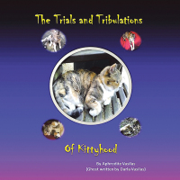 Cover image: The Trials and Tribulations of Kittyhood 9798369424186