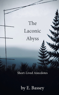 Cover image: The Laconic Abyss 9798369428894