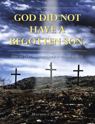 Omslagafbeelding: GOD DID NOT HAVE A BEGOTTEN SON. 9798369429440