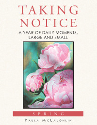 Cover image: Taking Notice 9798369429716