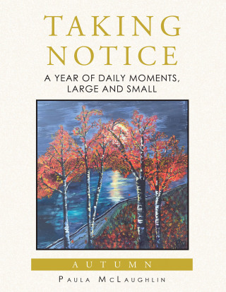 Cover image: Taking Notice 9798369429778