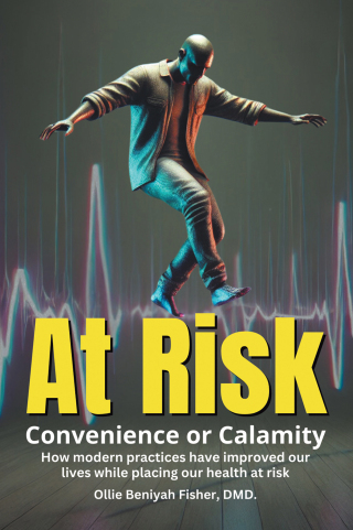 Cover image: At Risk 9798369442951