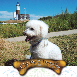 Cover image: Casey Goes to the Hamptons 9781436362474