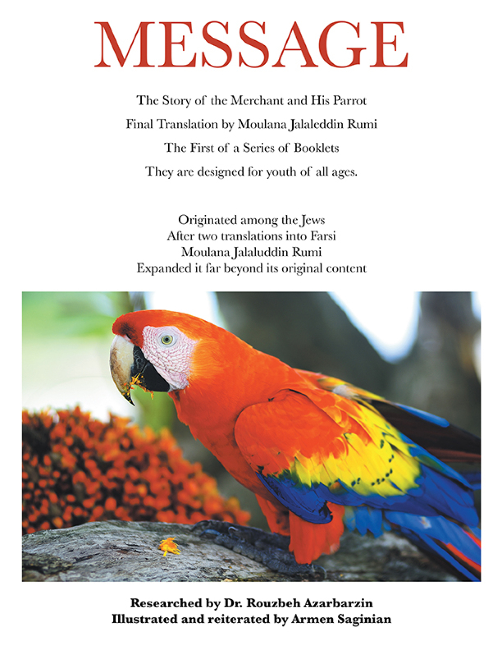 MESSAGE (eBook)