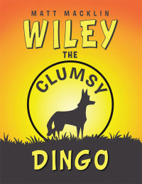Cover image: WILEY 9798369498934
