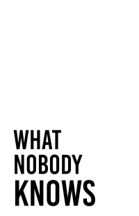 Imagen de portada: What Nobody Knows 9798385000517