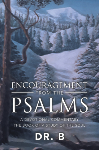 Omslagafbeelding: ENCOURAGEMENT FROM THE PSALMS 9798385008391