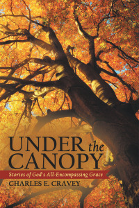 Cover image: Under the Canopy 9798385010912