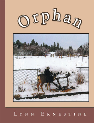 Cover image: Orphan 9798385010943