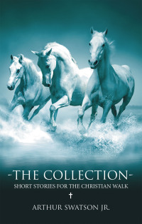 Cover image: THE COLLECTION - SHORT STORIES FOR THE CHRISTIAN WALK 9798385014378