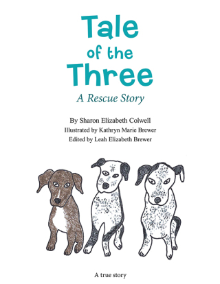 表紙画像: Tale of the Three 9798385015269