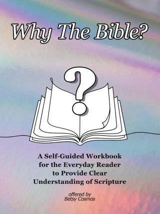 Cover image: Why The Bible? 9798385020232