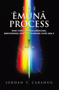 Omslagafbeelding: The Emuna Process 9798385021741