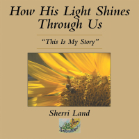 Omslagafbeelding: How His Light Shines Through Us 9798385026388