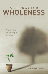 Cover image: A Liturgy for Wholeness 9798385032938