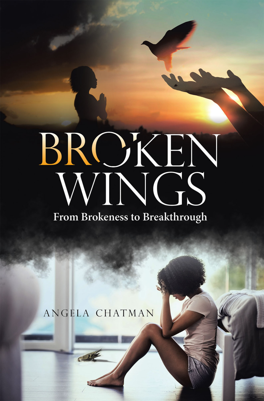 Broken Wings eBook