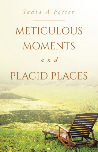 Cover image: Meticulous Moments and Placid Places 9798385036448